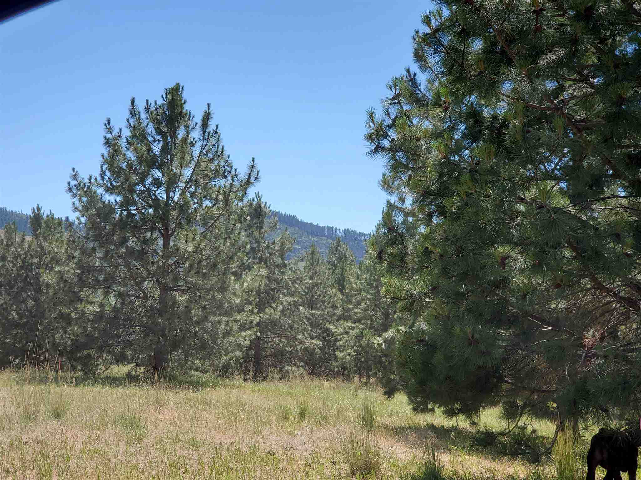4571 Lessig Road Hunters, WA 99137 - Photo 11 of 12