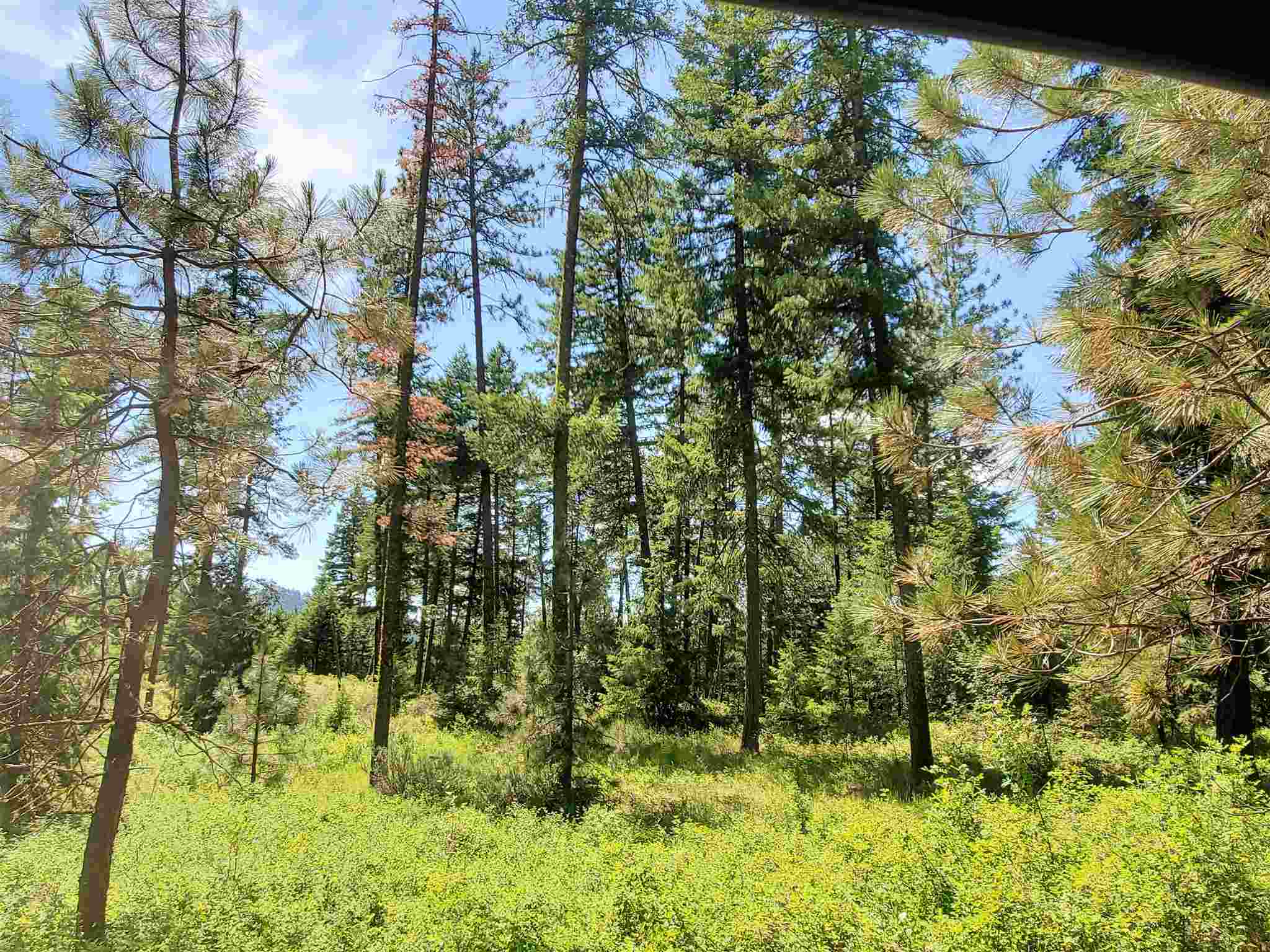 4571 Lessig Road Hunters, WA 99137 - Photo 3 of 12