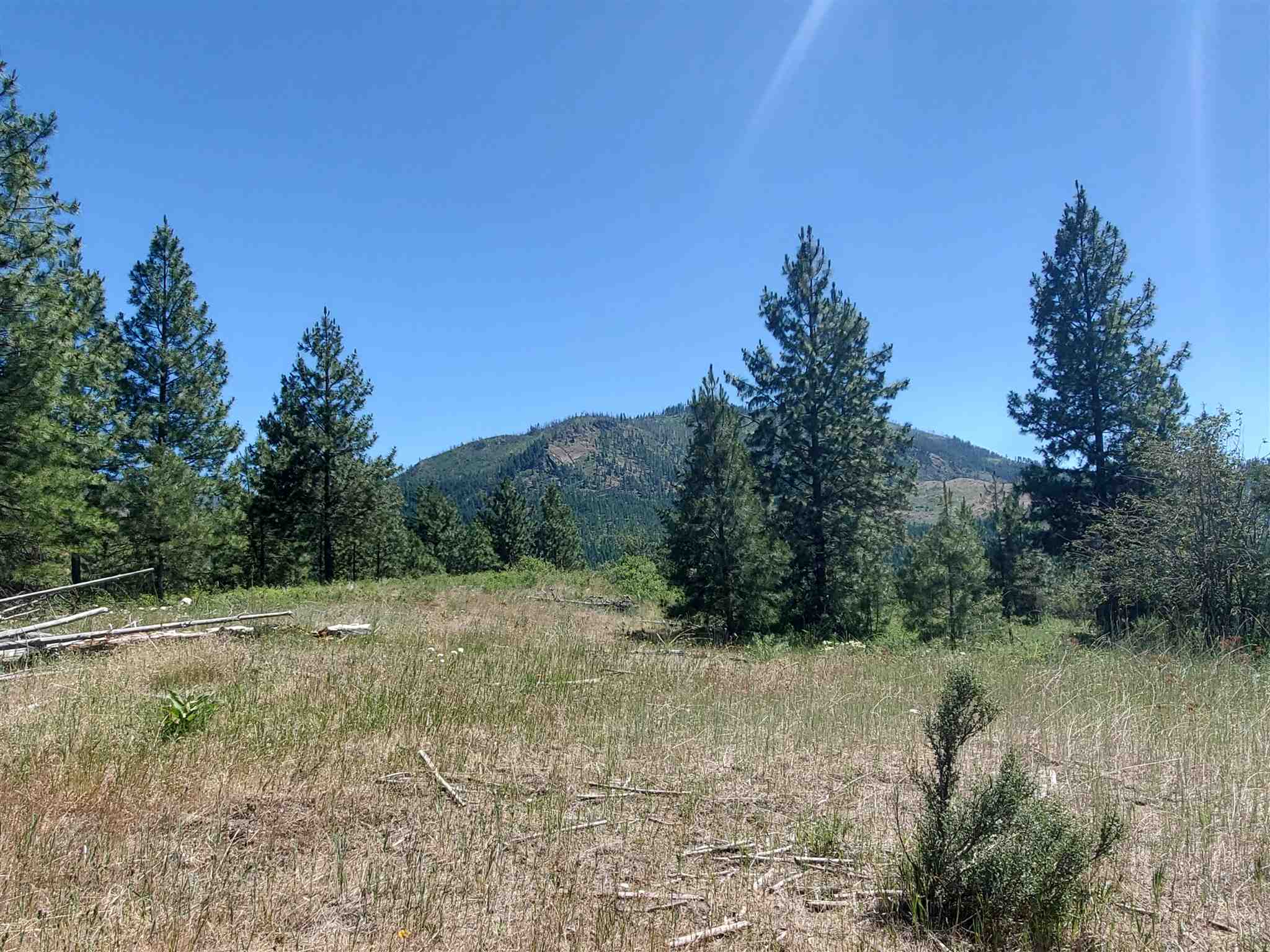 4571 Lessig Road Hunters, WA 99137 - Photo 4 of 12