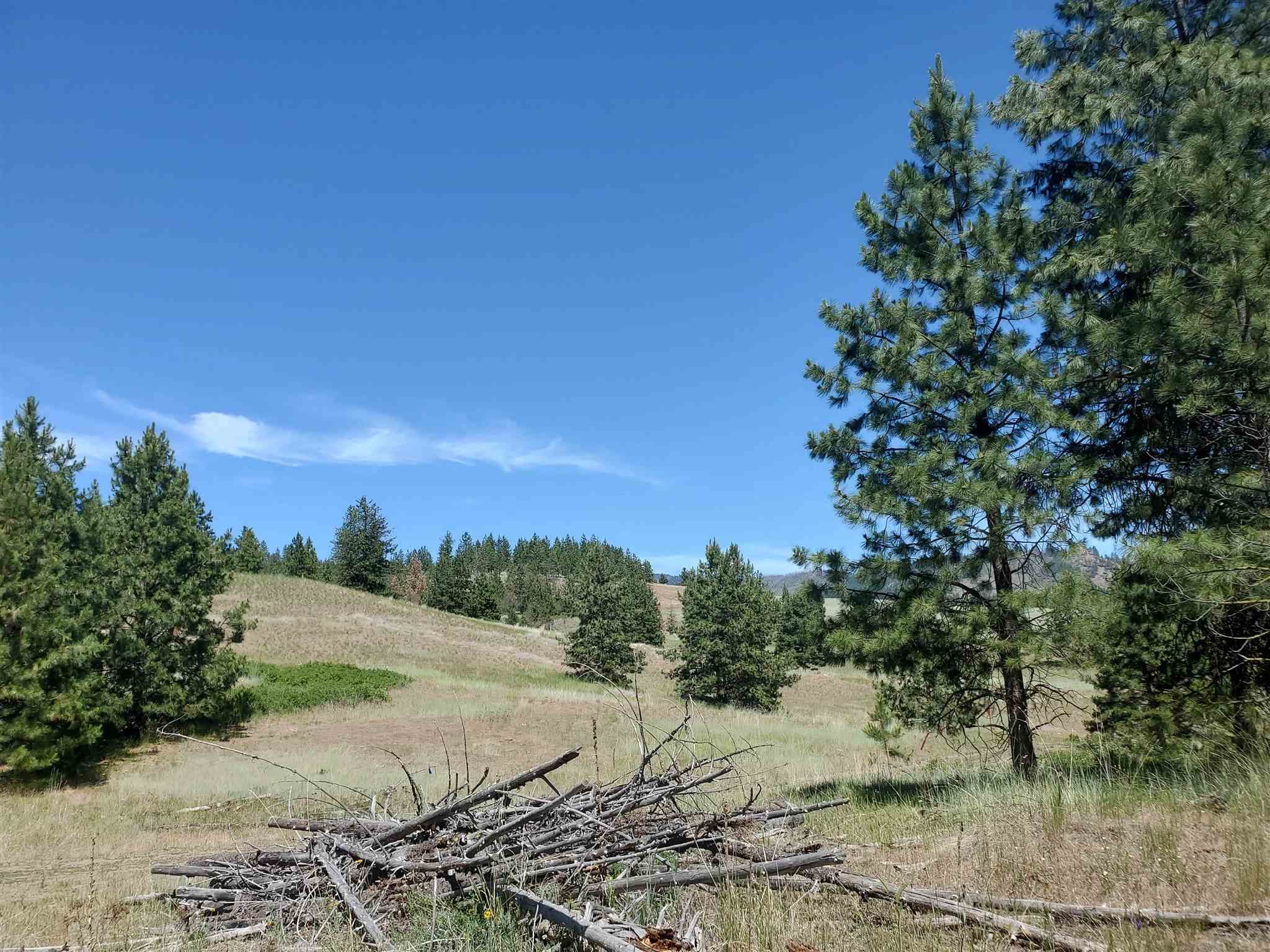 4571 Lessig Road Hunters, WA 99137 - Photo 6 of 12