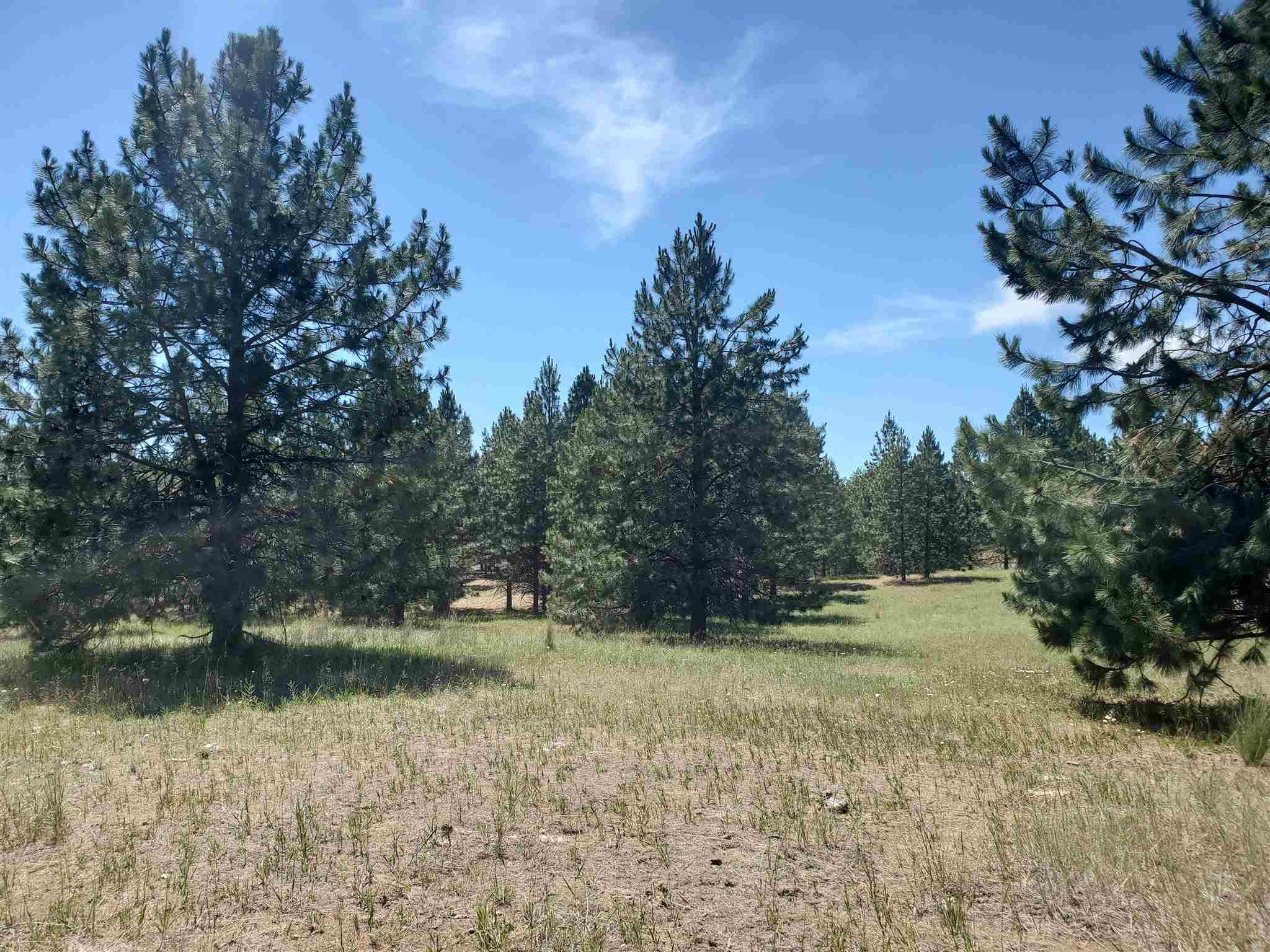 4571 Lessig Road Hunters, WA 99137 - Photo 9 of 12