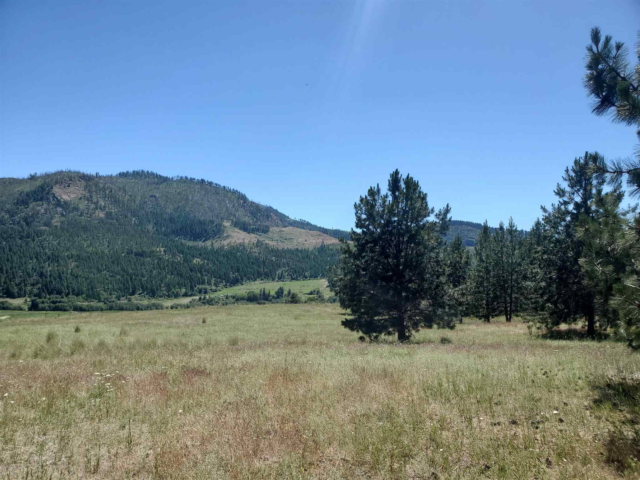 4571 Lessig Road Hunters, WA 99137 - Photo 10 of 12