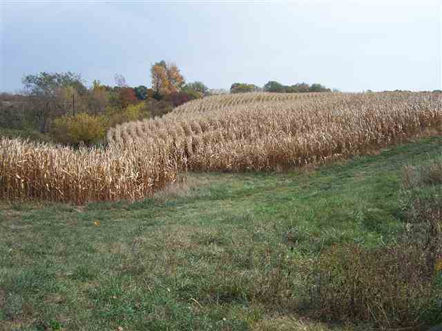 Tbd Becker Road Poplar Grove, IL 61065 - Photo 6 of 10 a view of a garden with mountain