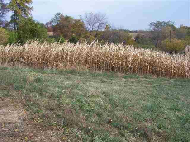 Tbd Becker Road Poplar Grove, IL 61065 - Photo 7 of 10 a view of lake with green space