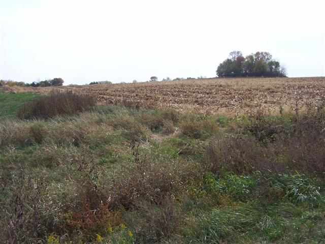 Tbd Becker Road Poplar Grove, IL 61065 - Photo 8 of 10 a view of a dry yard with green space