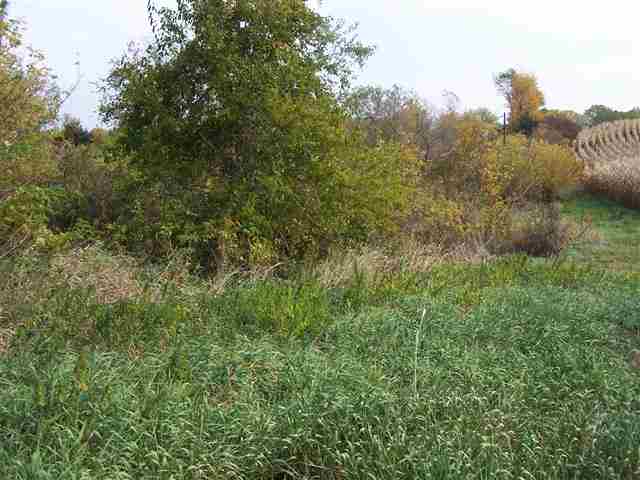 Tbd Becker Road Poplar Grove, IL 61065 - Photo 9 of 10 a view of a large yard with lots of bushes
