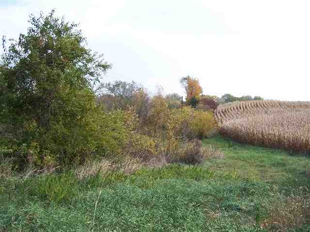 Tbd Becker Road Poplar Grove, IL 61065 - Photo 10 of 10