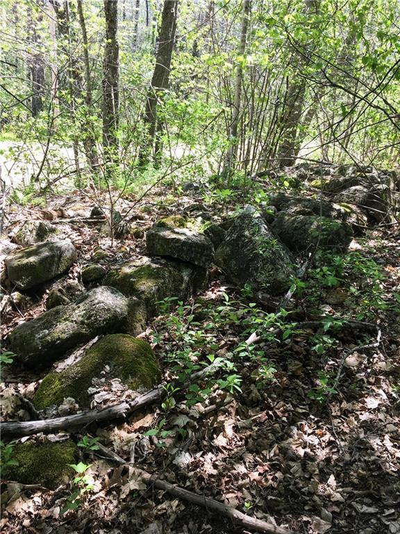 Lot 13 Richardson Road Orrington, ME 04474 - Photo 30 of 33 Old rock wall at the edge of the...