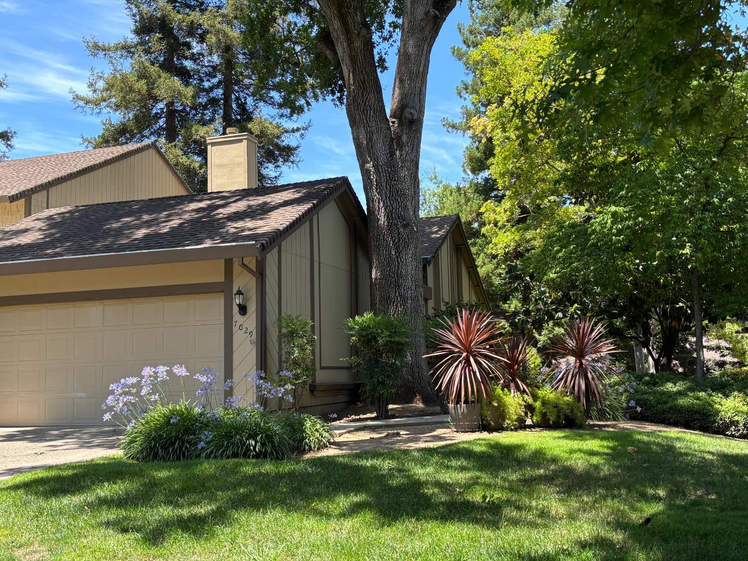 7029 Rio Cuarto Court Citrus Heights, CA 95621 - Photo 1 of 36