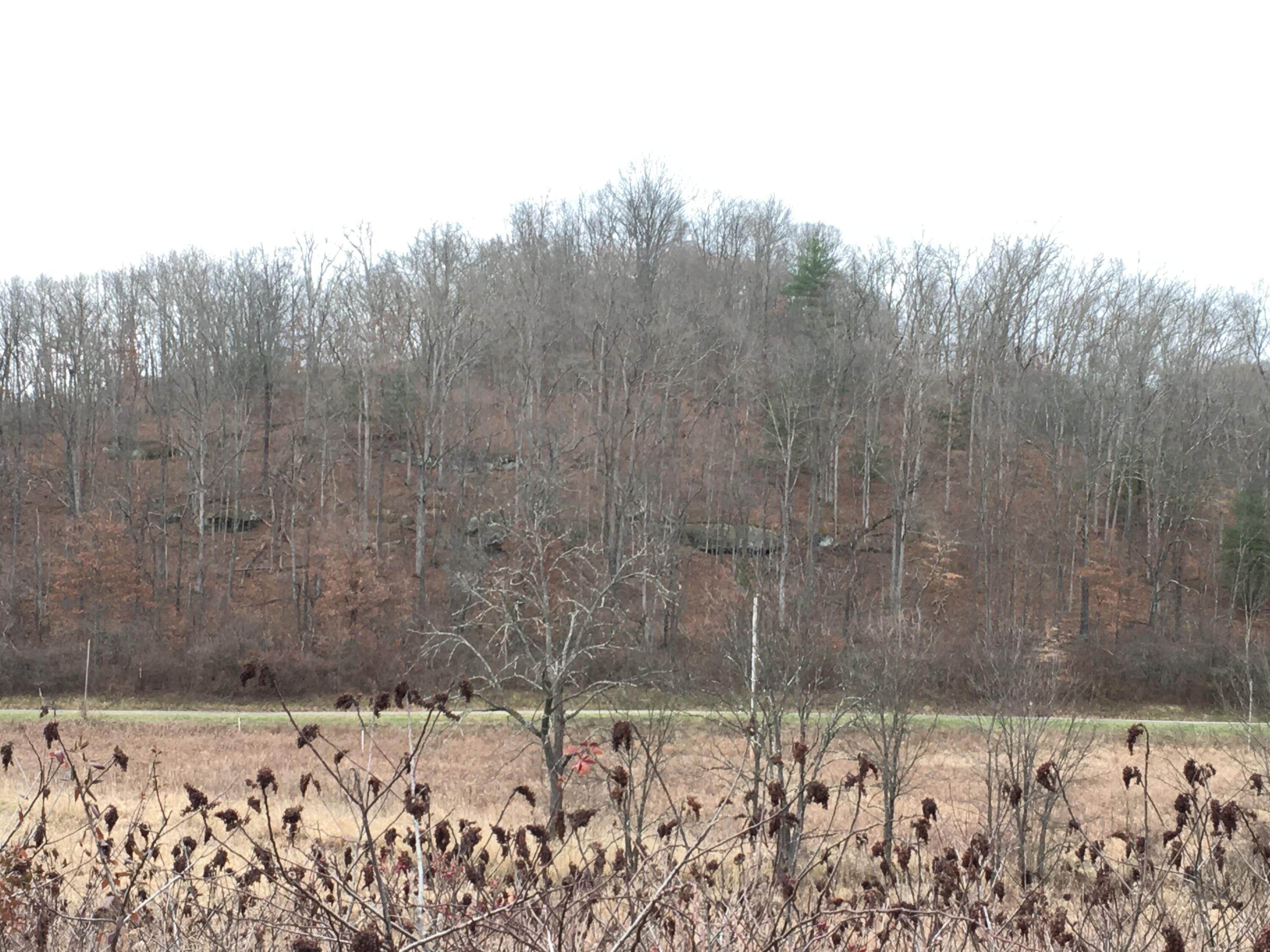 960 Rockcamp Road New Marshfield, OH 45766 - Photo 70 of 73 71) 72666-6a31ffe9a93d1