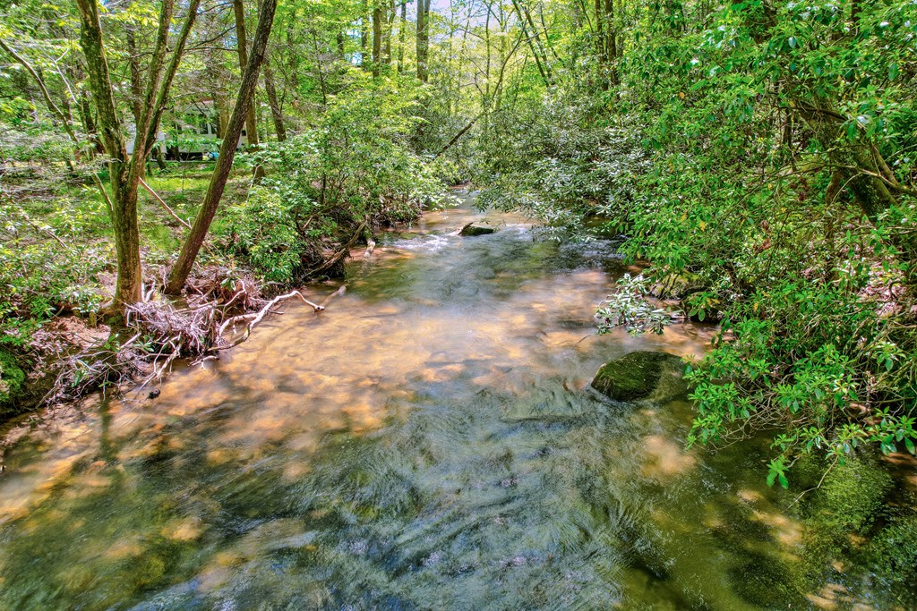 56 Hemlock Blue Ridge, GA 30513 - Photo 2 of 65
