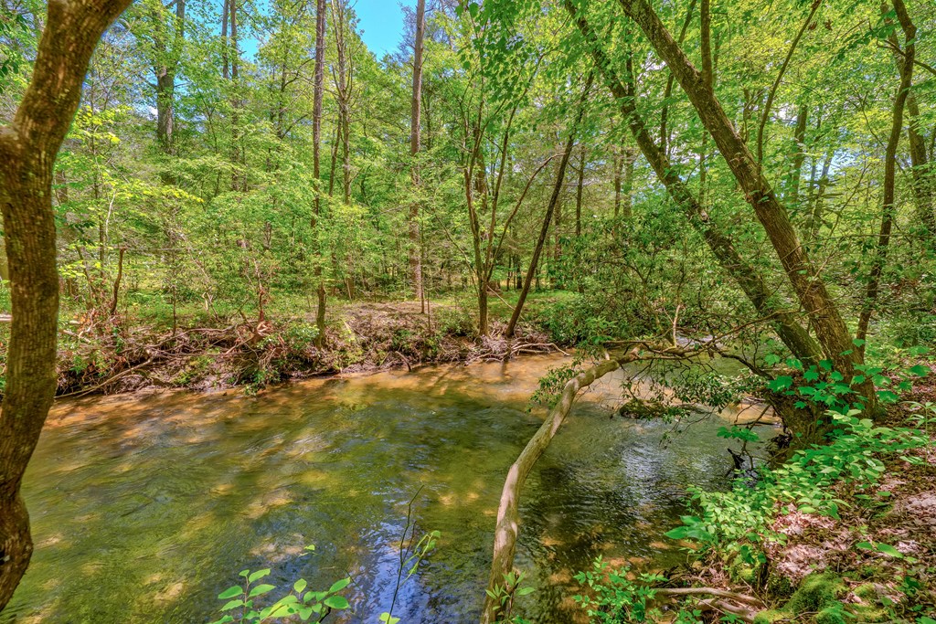 56 Hemlock Blue Ridge, GA 30513 - Photo 41 of 65