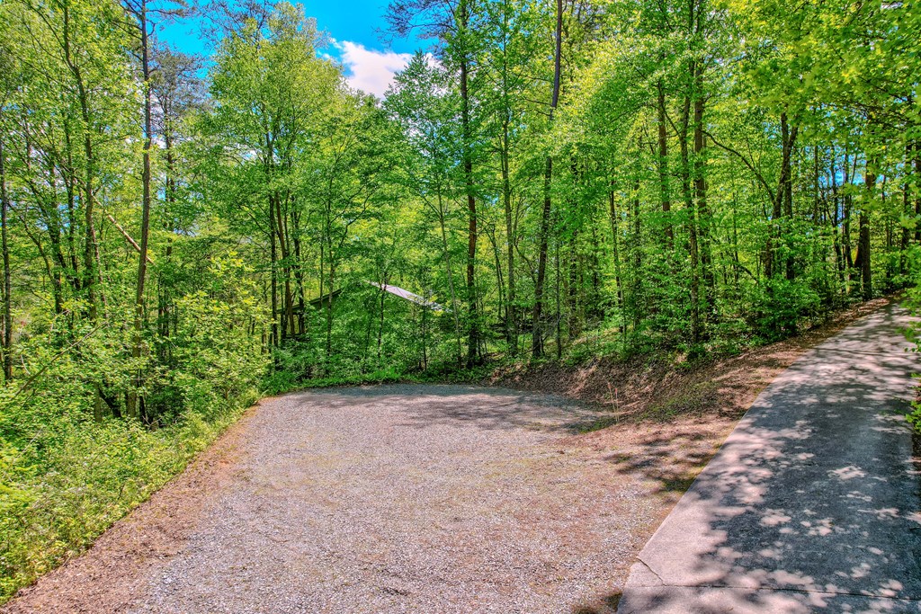 56 Hemlock Blue Ridge, GA 30513 - Photo 42 of 65