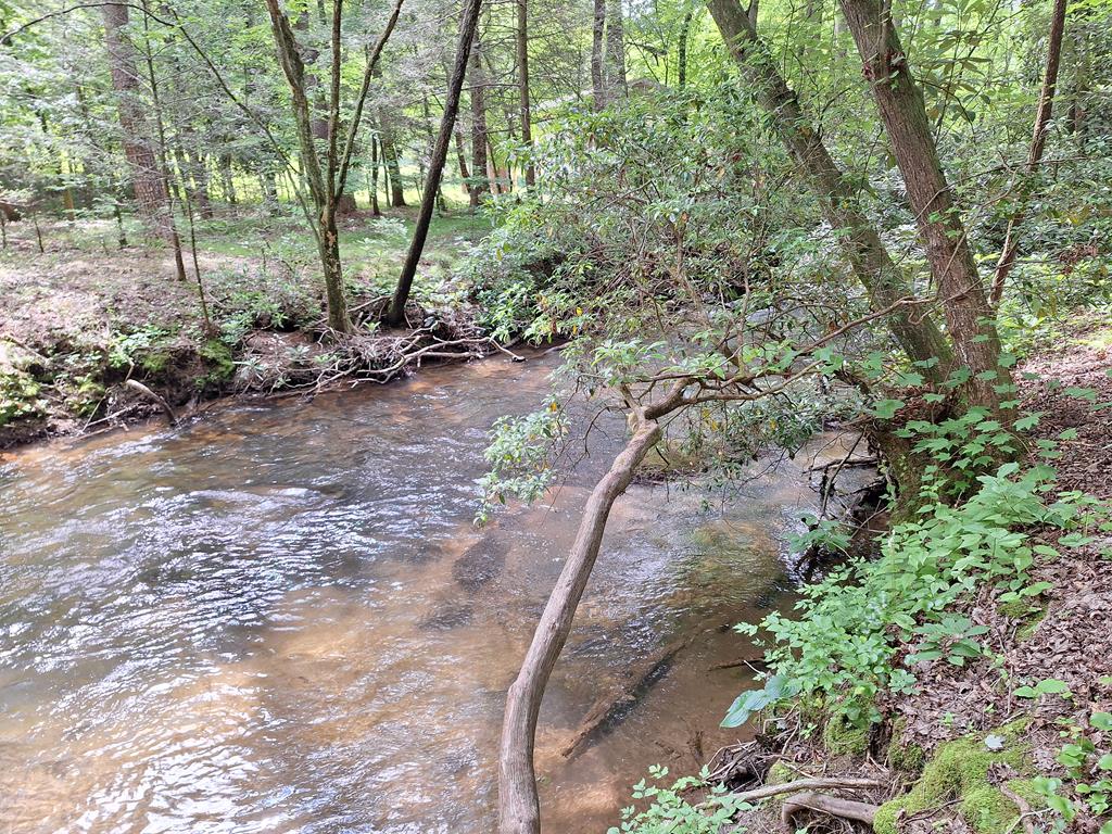 56 Hemlock Blue Ridge, GA 30513 - Photo 63 of 65