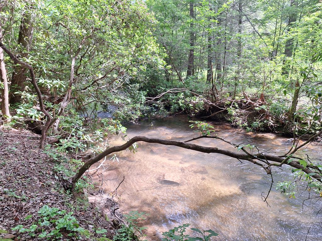 56 Hemlock Blue Ridge, GA 30513 - Photo 64 of 65