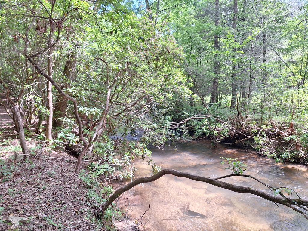 56 Hemlock Blue Ridge, GA 30513 - Photo 65 of 65