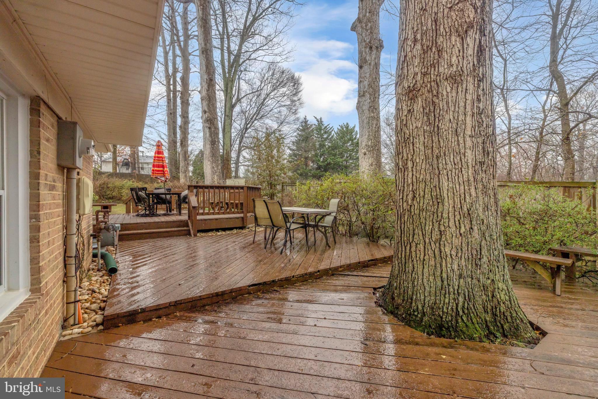 4702 Declaration Court Annandale, VA 22003 - Photo 39 of 51