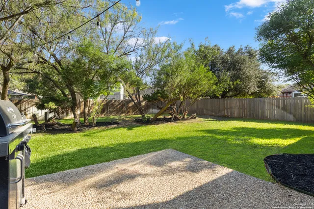 a view of a backyard with tree