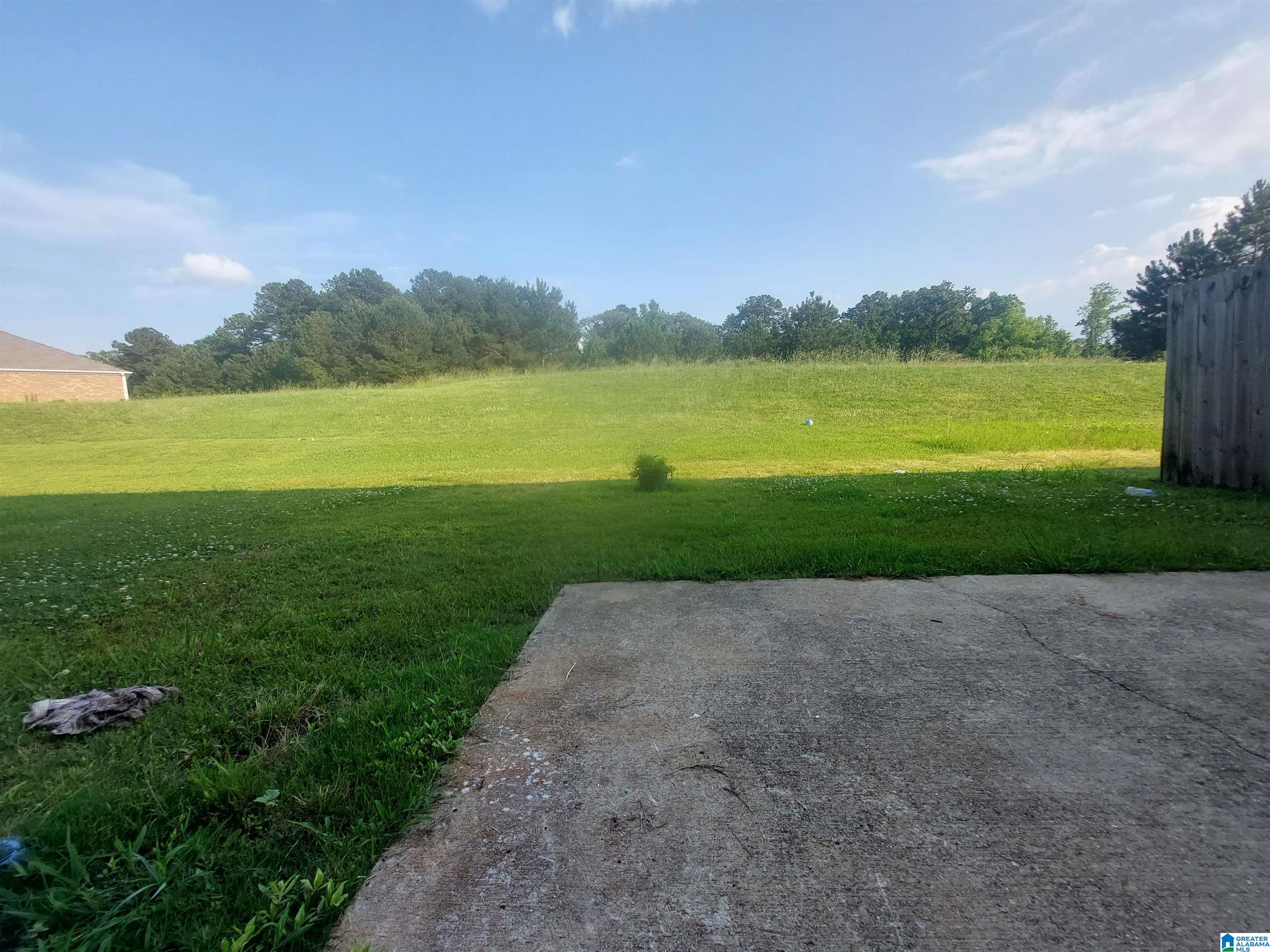 577 Polo Way Chelsea, AL 35043 - Photo 8 of 27