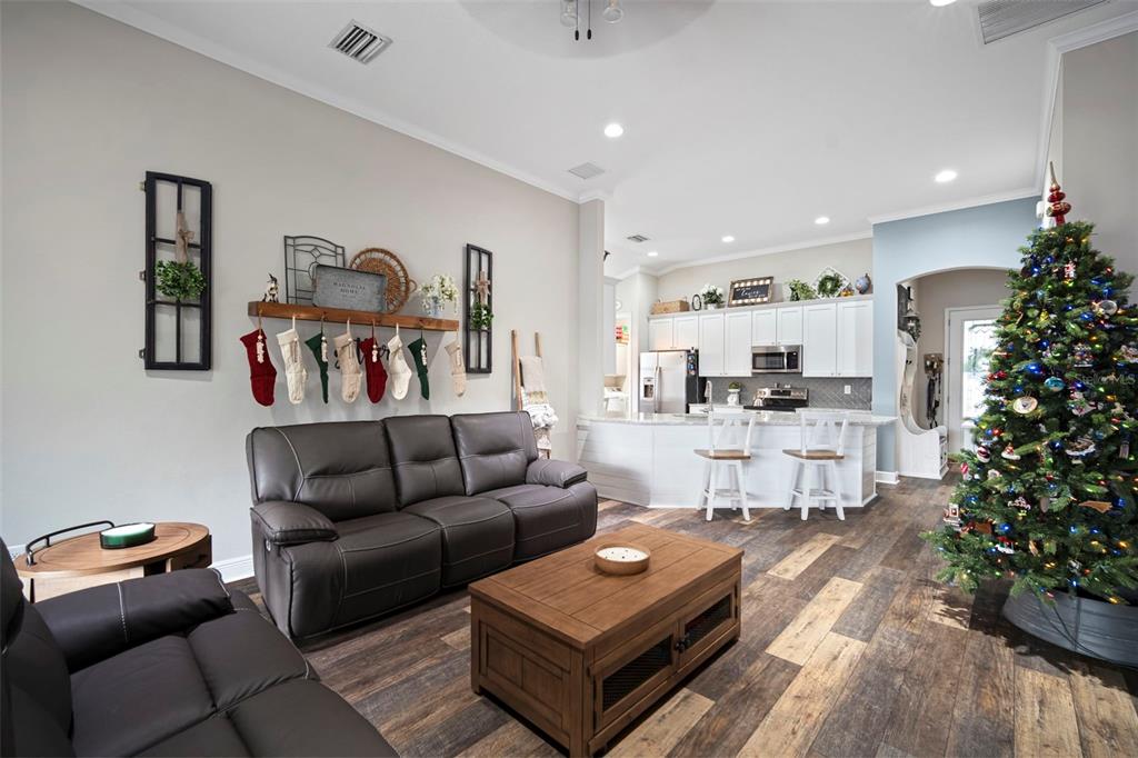 11223 Paddock Manor Avenue Riverview, FL 33569 - Photo 17 of 62