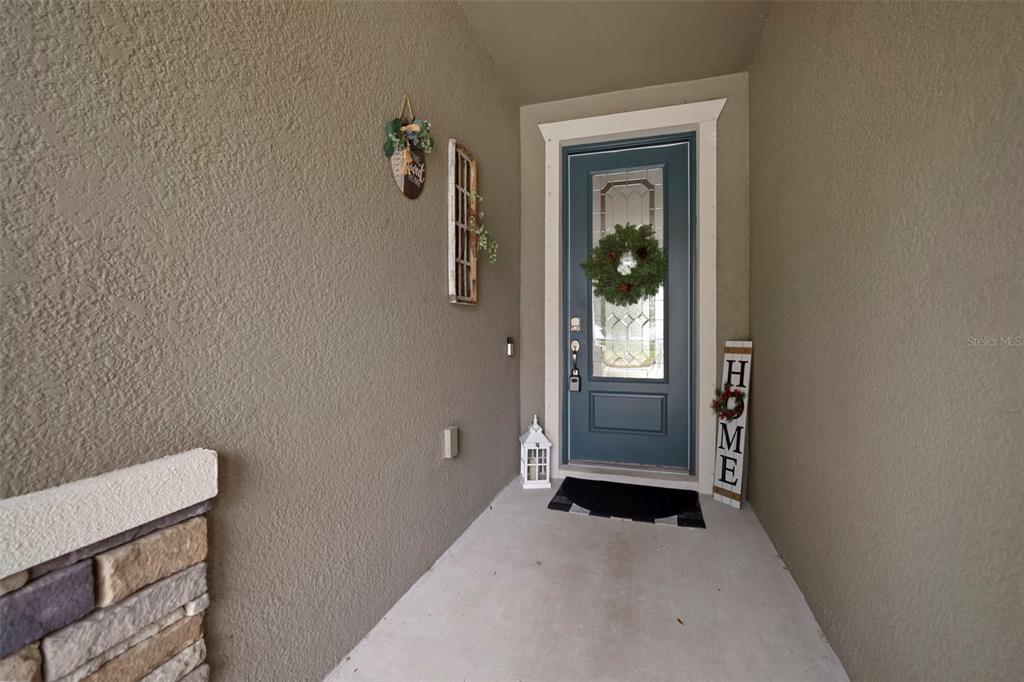 11223 Paddock Manor Avenue Riverview, FL 33569 - Photo 5 of 62