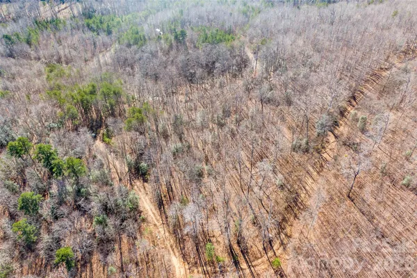a view of a dry yard