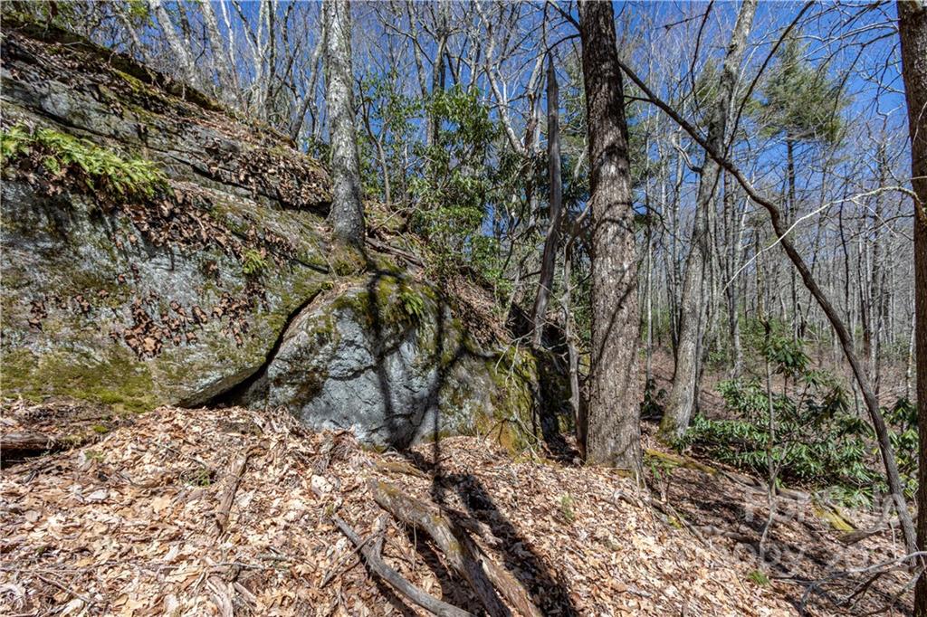 Tbd Shortoff Road Highlands, NC 28741 - Photo 13 of 19 Gallery Image 13