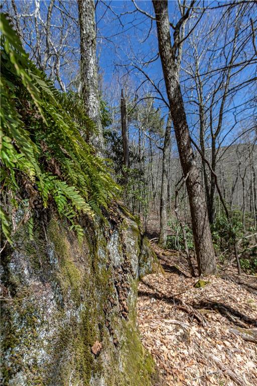Tbd Shortoff Road Highlands, NC 28741 - Photo 14 of 19 Gallery Image 14
