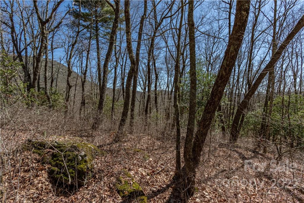Tbd Shortoff Road Highlands, NC 28741 - Photo 4 of 19 Gallery Image 4