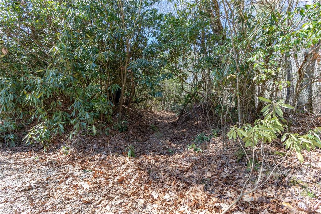 Tbd Shortoff Road Highlands, NC 28741 - Photo 7 of 19 Gallery Image 7