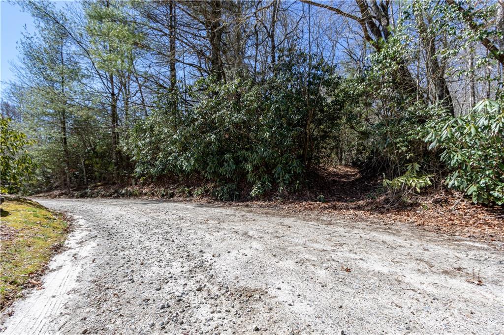 Tbd Shortoff Road Highlands, NC 28741 - Photo 9 of 19 Gallery Image 9