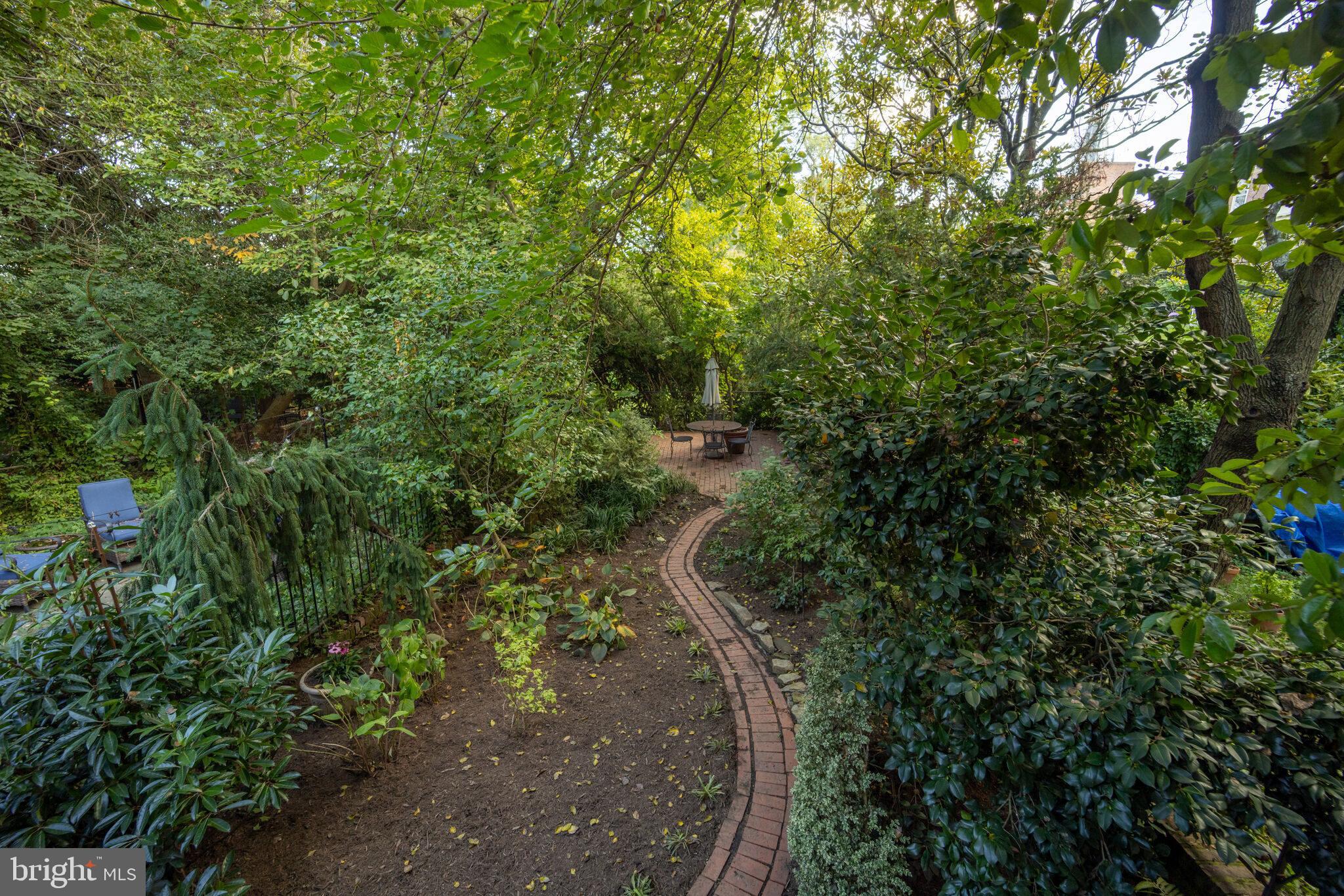 168 Green Street Annapolis, MD 21401 - Photo 33 of 40 view of a forest with lots of trees
