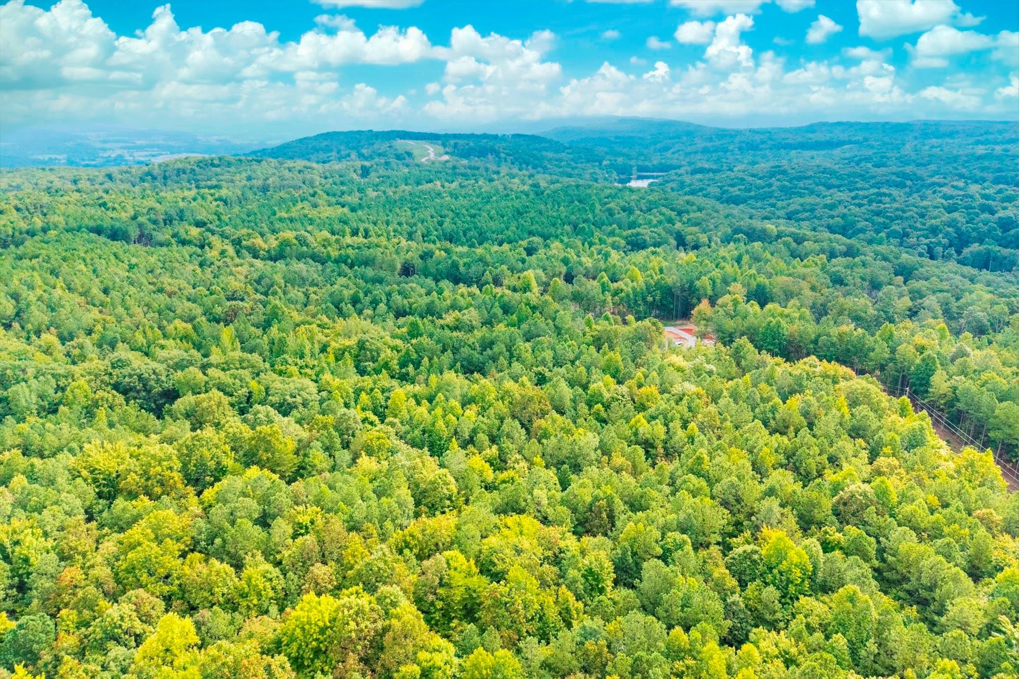 0 Spokelay Road Spencer, TN 38585 - Photo 5 of 21 a view of a big yard with lots of bushes