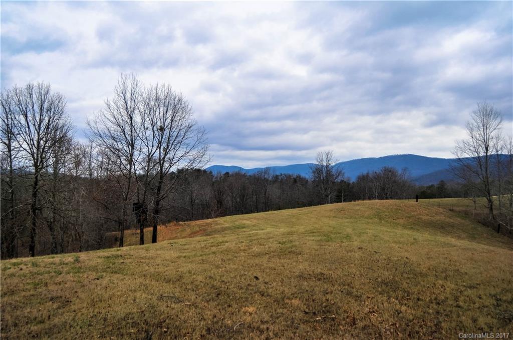 408 Betty's Ln Mill Spring Mill Spring, NC 28756 - Photo 18 of 24