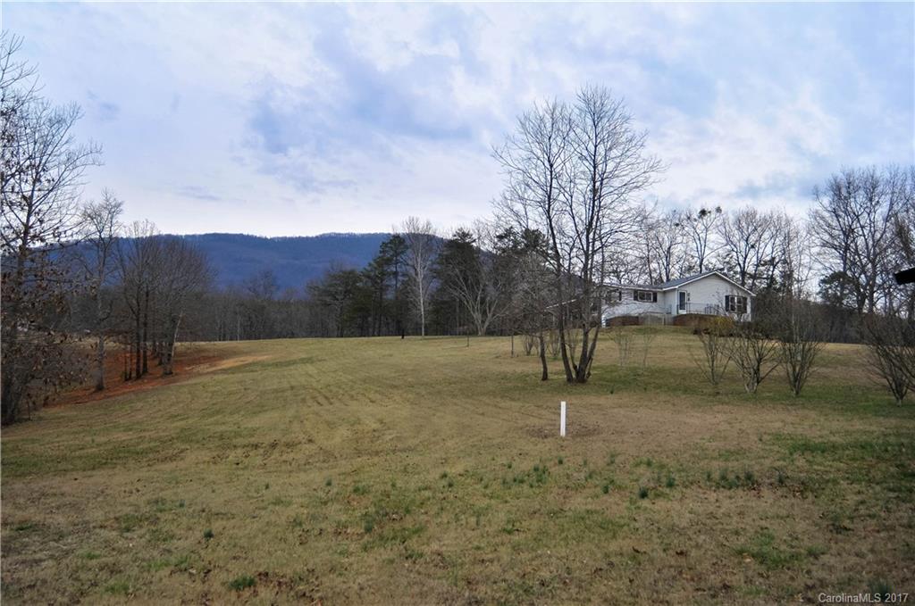 408 Betty's Ln Mill Spring Mill Spring, NC 28756 - Photo 19 of 24