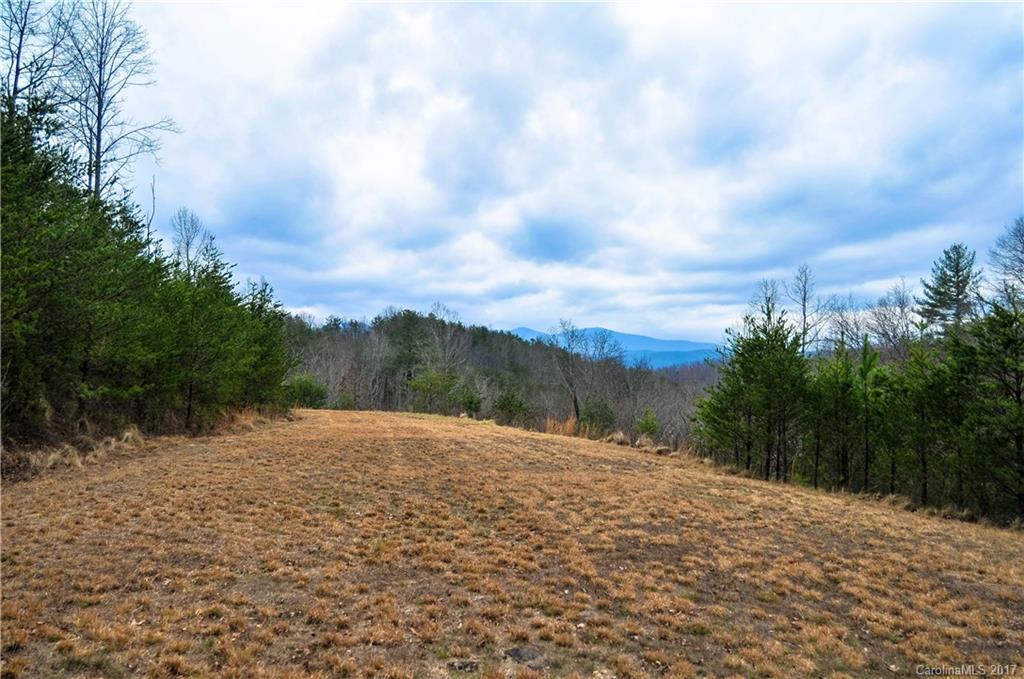 408 Betty's Ln Mill Spring Mill Spring, NC 28756 - Photo 21 of 24