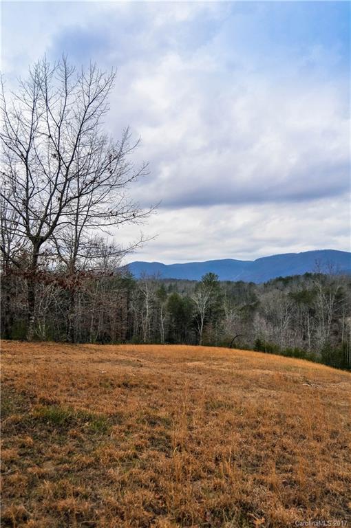 408 Betty's Ln Mill Spring Mill Spring, NC 28756 - Photo 22 of 24