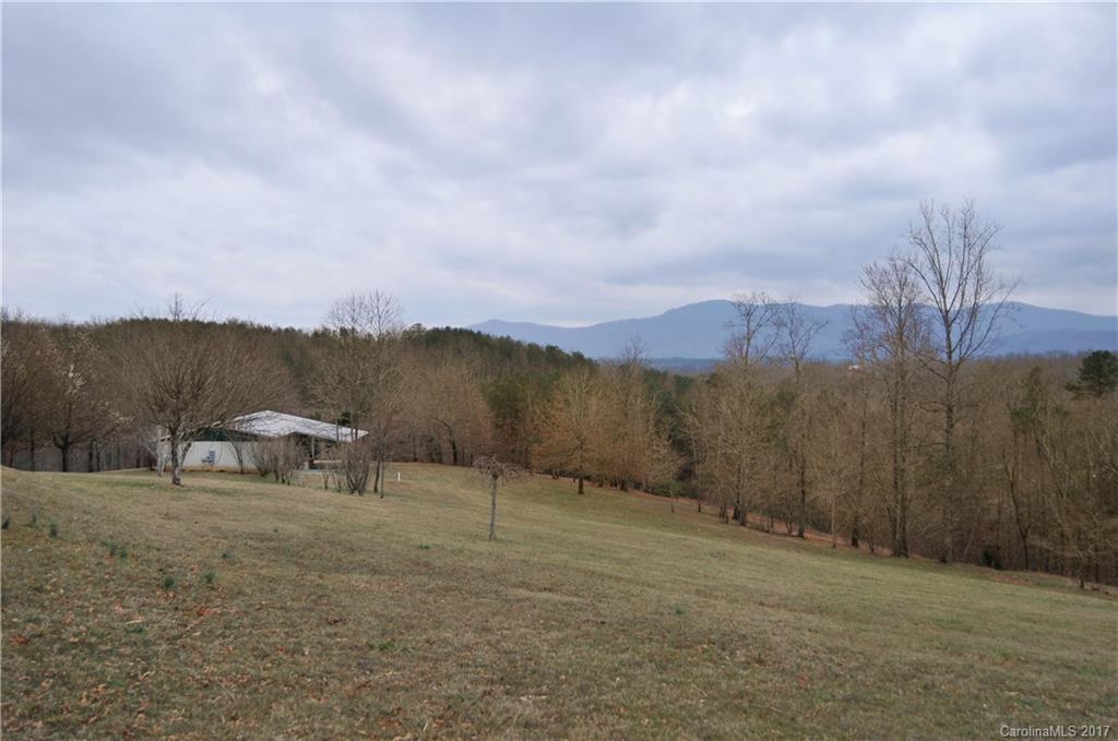408 Betty's Ln Mill Spring Mill Spring, NC 28756 - Photo 24 of 24