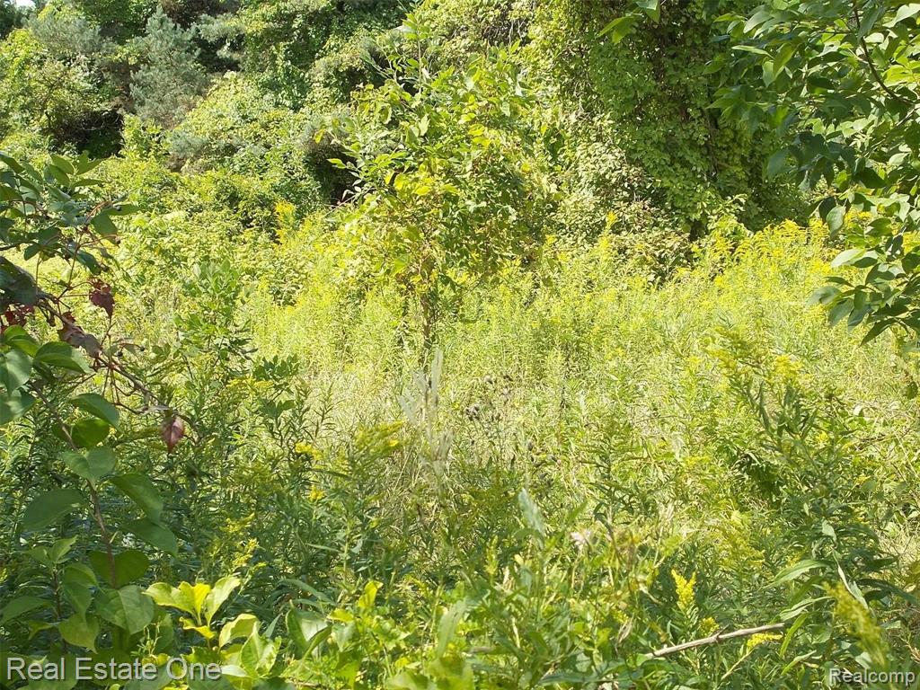 0 North Lake George Road Oakland, MI 48363 - Photo 51 of 55