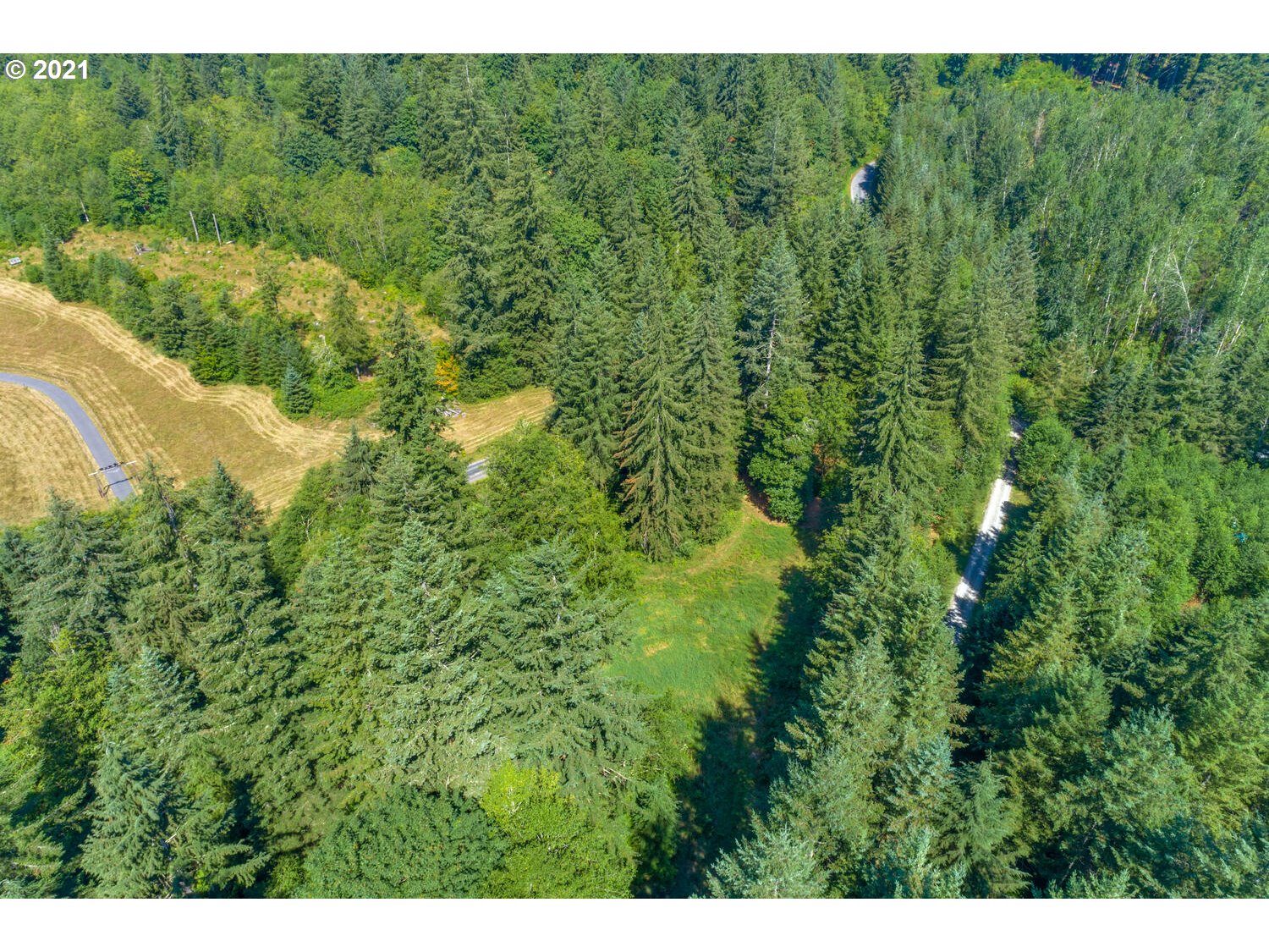 0 Northeast Rotschy Road Yacolt, WA 98675 - Photo 11 of 21 Gallery Image 11
