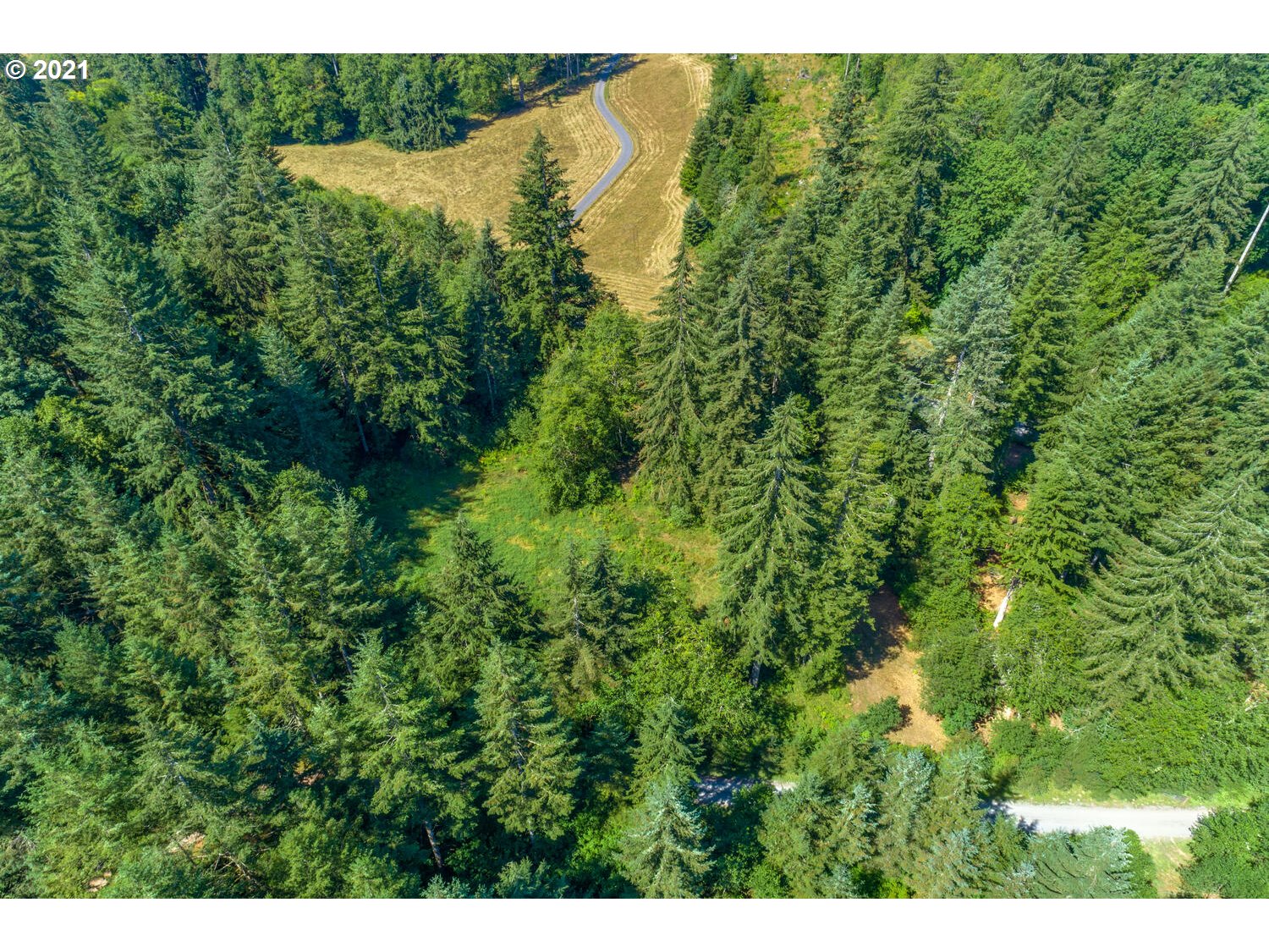 0 Northeast Rotschy Road Yacolt, WA 98675 - Photo 13 of 21 Gallery Image 13