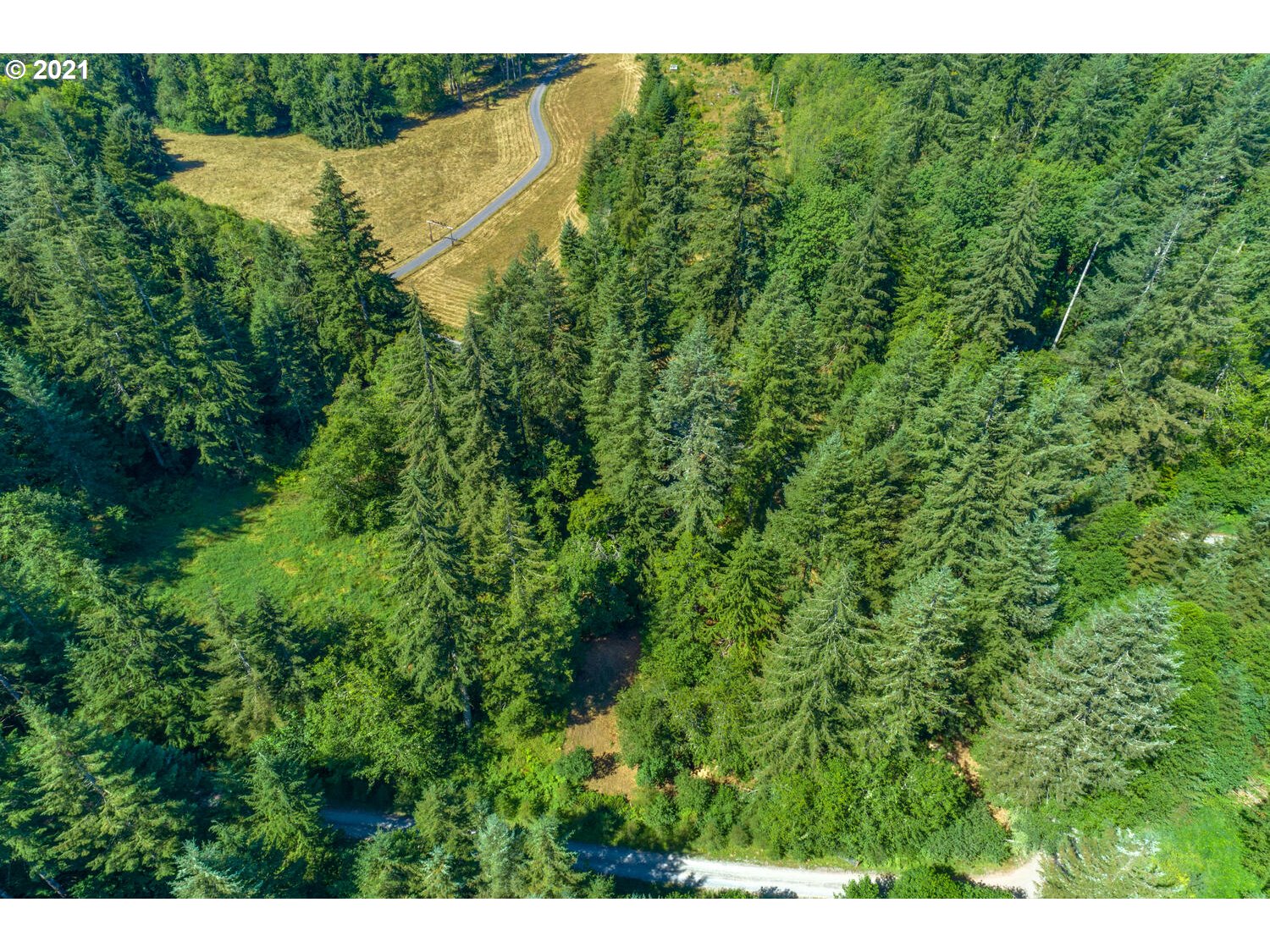 0 Northeast Rotschy Road Yacolt, WA 98675 - Photo 15 of 21 Gallery Image 15