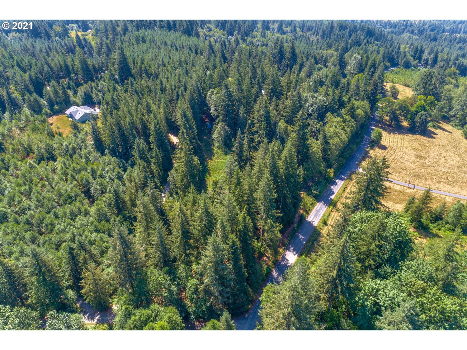 0 Northeast Rotschy Road Yacolt, WA 98675 - Photo 17 of 21 Gallery Image 17