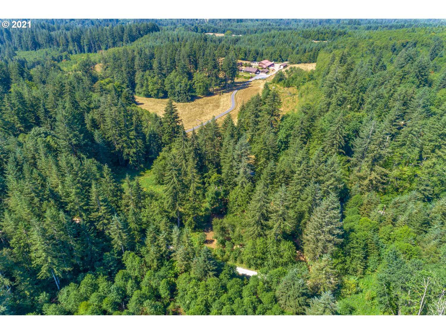 0 Northeast Rotschy Road Yacolt, WA 98675 - Photo 19 of 21 Gallery Image 19