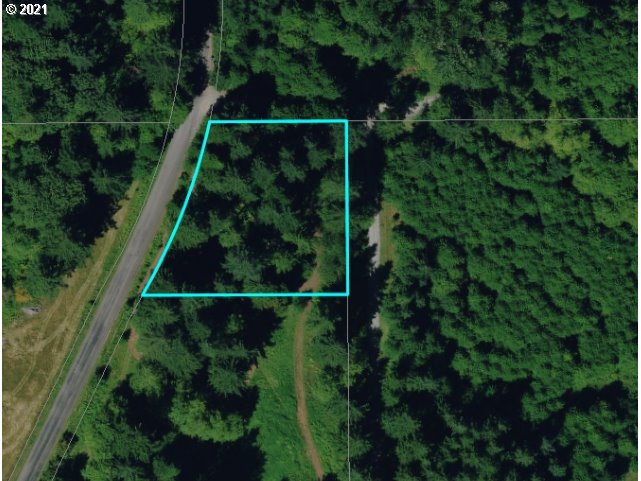0 Northeast Rotschy Road Yacolt, WA 98675 - Photo 20 of 21 Gallery Image 20