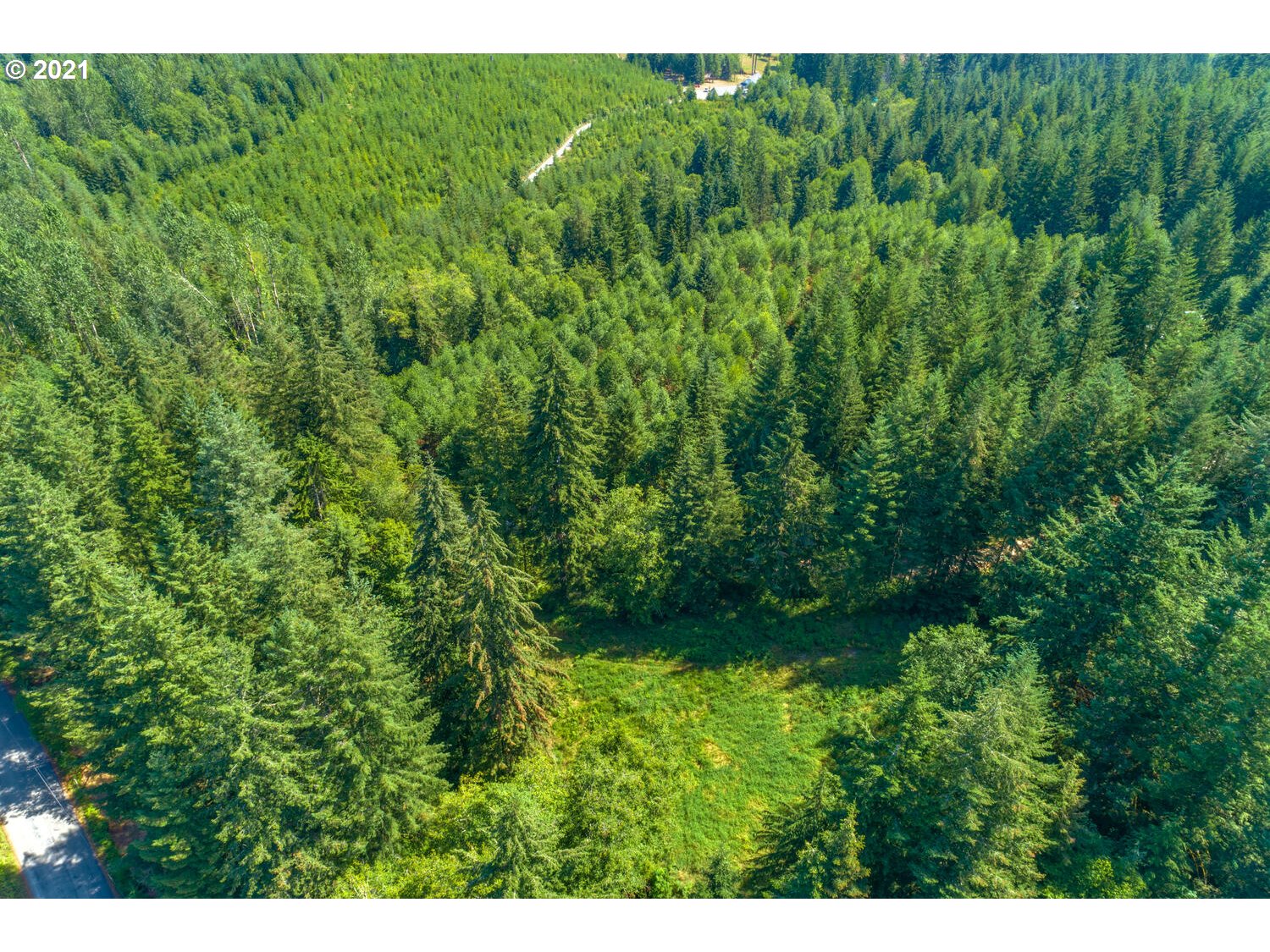 0 Northeast Rotschy Road Yacolt, WA 98675 - Photo 8 of 21 Gallery Image 8