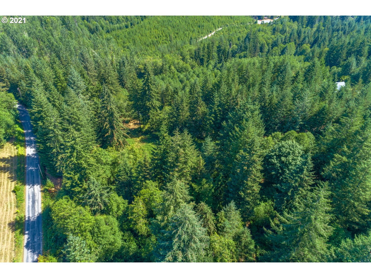 0 Northeast Rotschy Road Yacolt, WA 98675 - Photo 9 of 21 Gallery Image 9