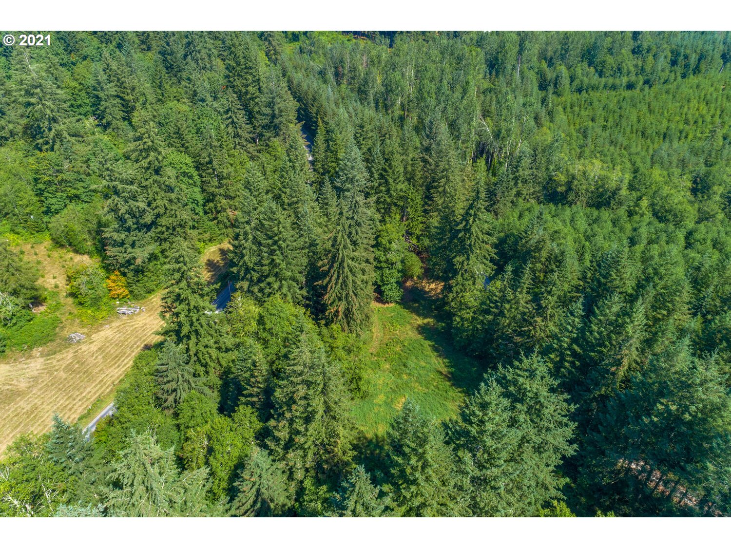 0 Northeast Rotschy Road Yacolt, WA 98675 - Photo 10 of 21 Gallery Image 10