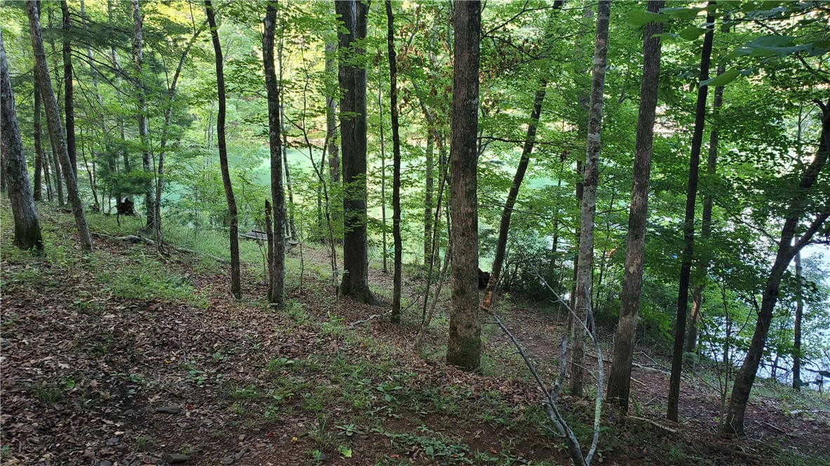 109 Echo Point Court Sunset, SC 29685 - Photo 7 of 7
