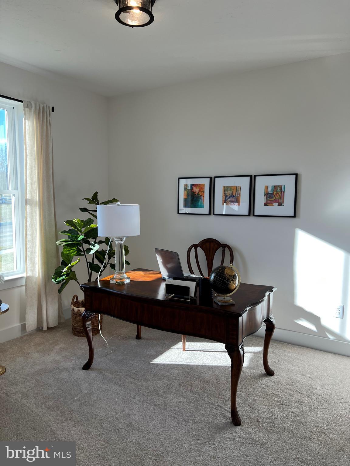 111 Onyx Drive, Unit 55 Hanover, PA 17331 - Photo 11 of 12 a living room with furniture and a potted plant